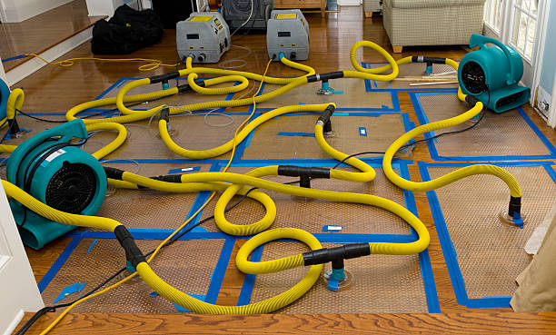 Professional Water Damage Restoration technician working in Rainier, OR